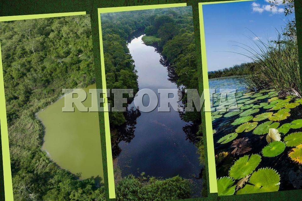 México Decreta 3 Áreas Naturales Protegidas 9577