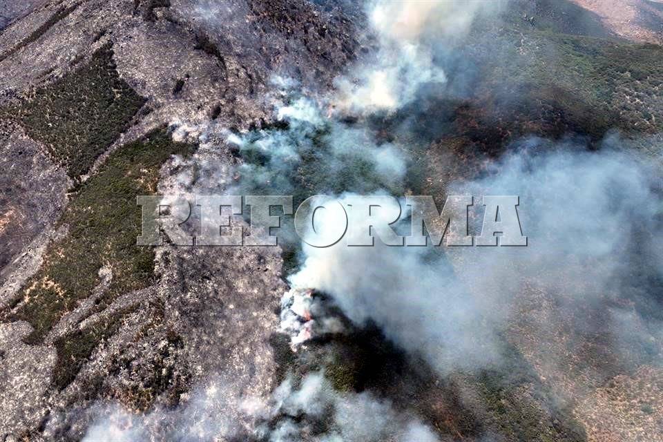 Arrasa incendio con 660 hectáreas de Valle de Guadalupe, BC