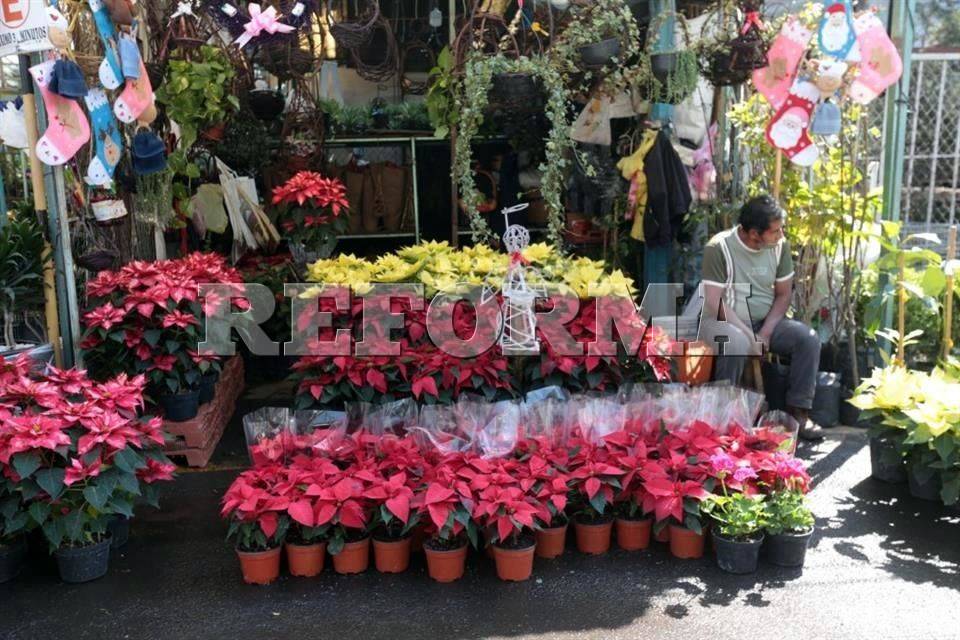 Impulsan el comercio de las nochebuenas