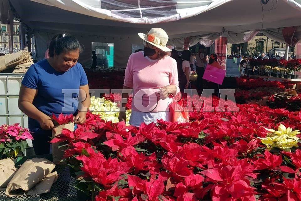 Productores reclaman más espacios para venta de flores