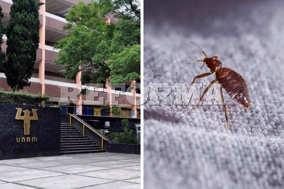 Se suma Psicología UNAM a fumigación preventiva